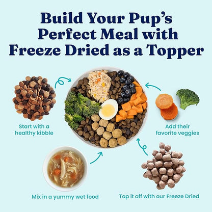 Solid Gold Freeze Dried Dog Food - W/Real Beef, Pumpkin & Superfoods - Freeze Dried Raw Dog Food Toppers for Picky Eaters to Serve as a Nutrient-Dense Meal Topper or High Protein Treats - 12oz