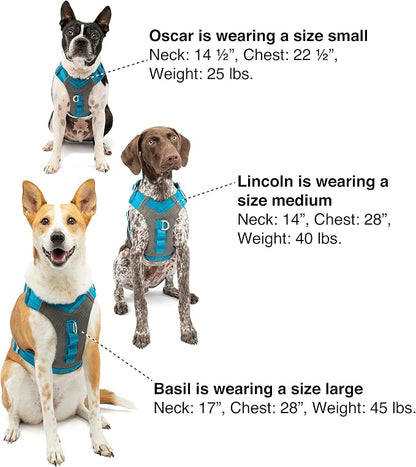 Kurgo Journey Air Dog Harness, Orange, Small | Padded Chest, Ripstop Outer & Breathable Mesh, Back Assist Handle, Rust-Free Aluminum Hardware, Reflective Trim