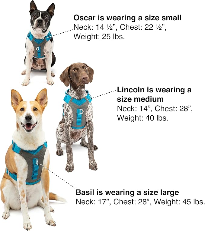 Kurgo Journey Air Dog Harness, Black, Extra Small | Padded Chest, Ripstop Outer & Breathable Mesh, Back Assist Handle, Rust-Free Aluminum Hardware, Reflective Trim