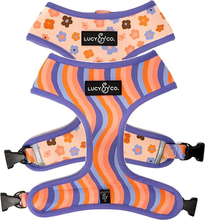 Lucy & Co. Reversible Dog Harness - Water-Repellent Neoprene, Dual-Print Design, Easy Swap Style, Adjustable Comfort Fit - Let's Groove Reversible Harness - X-Large