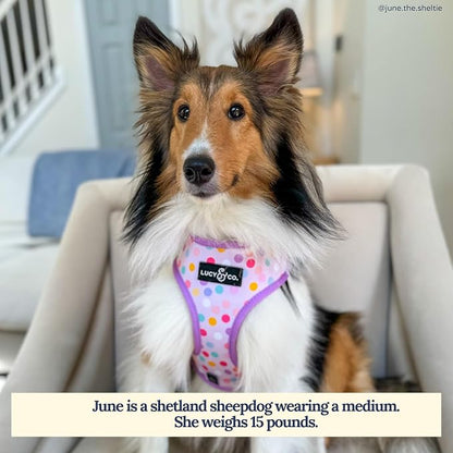Lucy & Co. Reversible Dog Harness - Water-Repellent Neoprene, Dual-Print Design, Easy Swap Style, Adjustable Comfort Fit - Making Magic Reversible Harness - X-Small