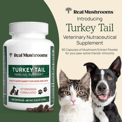 Real Mushrooms Turkey Tail Capsules for Pets –Cat Probiotics & Dog Vitamins – Organic Mushroom Supplement for Dogs & Cats – Supports Daily Balance & Well-Being Non-GMO, 90 ct