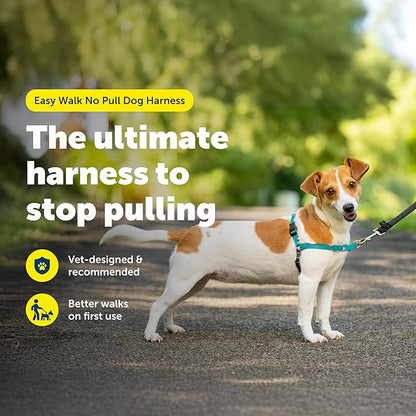 PetSafe Easy Walk Harness, No Pull Dog Harness, Small, Teal | Patented Martingale Loop Gives Gradual Shoulder Pressure to Stop Pulling, Front-Chest Leash Clip Prevents Gagging