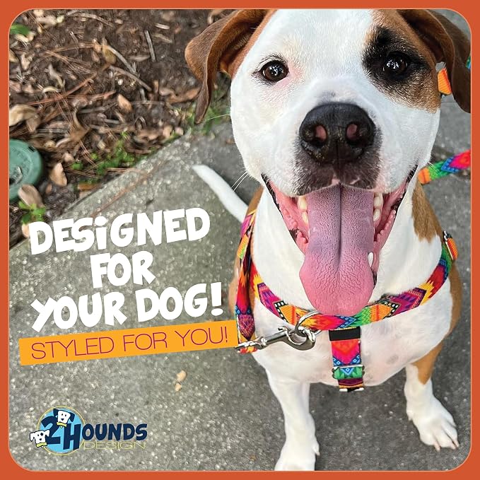 2 Hounds Design Freedom No Pull Dog Harness, Adjustable Harness, Easy Walking & Comfortable Control, Fits Small, Medium & Large Dogs, Solid Colors, Made in USA, 1" XXL, Silver
