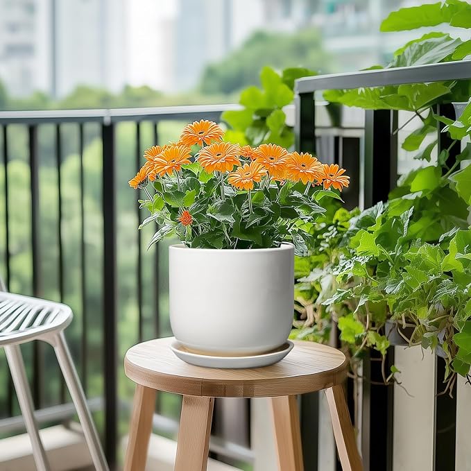 Ceramic Pot for Plants 7 Inch - Modern Round Indoor Outdoor Planter with Drainage Hole and Saucer, Home House Office Room Decor, White