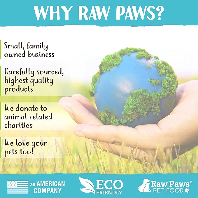 Raw Paws Signature Pet Food for Dogs & Cats - Wild Caught Salmon, 1-lb Rolls (20 Pack) Made in USA Salmon Dog Food - Raw Frozen Fish Dog Food - Sensitive Stomach Cat Food