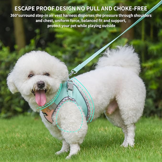 AIITLE Tiny Dog Harness - Lightweight Mesh Step-in Vest for Puppy, Reflective & Escape-Proof Design with High-Stick Magic Tape - Outdoor Use for Chihuahua, Maltese, Shih Tzu(Turquoise-Pink, XXXS)