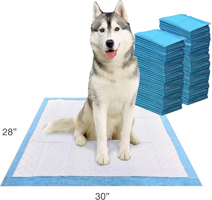 Four Paws Wee-Wee Odor Control with Febreze Freshness Pee Pads for Dogs & Puppies, Leak-Proof Dog Housebreaking Potty Training Floor Protection, Spring Fresh Scent, 28" x 30", 75 Count