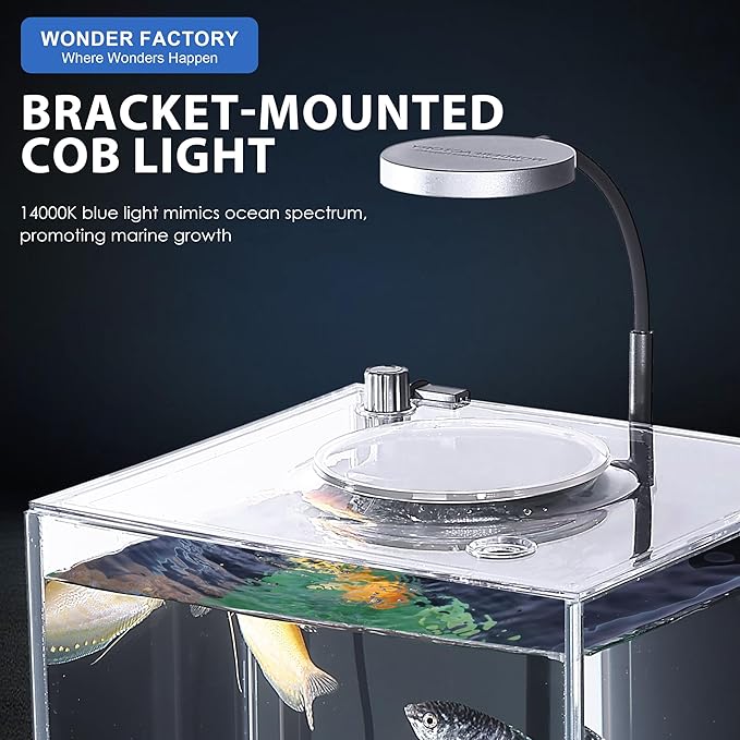 Nano Desktop Betta Aquarium 2.7 Gallon Glass Fish Tank Set, Hidden Bottom Filtration System Self Cleaning Filter Light Gravel Plant Cleaning Tool, for Small Space Easy Setup Space-Saving Design