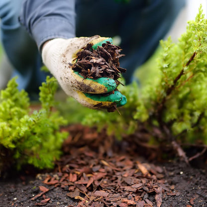 Premium Brown Wood Mulch for Landscaping, Gardens, Lawns, Potting Media, and Potted Plants (2 CF - 56 L - 59 QTS)