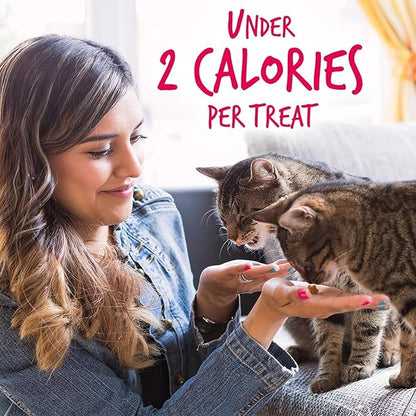 Fruitables Cat Crunchy Treats For Cats – Healthy Low Calorie Packed with Protein – No Wheat, Corn or Soy – Made with Real Salmon with Cranberry – 2.5 Ounces