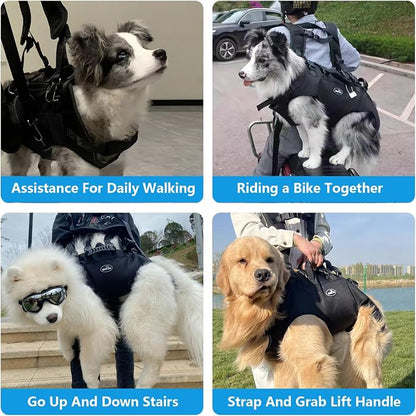 Dog Lift Harness, Pet Support & Rehabilitation Sling Lift Adjustable Padded Breathable Straps Dog Lift Harness for Dogs, Disabled, Joint Injuries, Arthritis, Loss of Stability Dogs Walk(16.5-33LBS) | Disabled, Joint Injuries, Arthritis, Loss of Stabili...