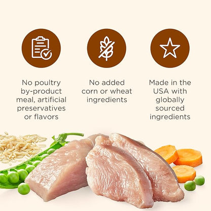 Nutrish Rachael Ray Wet Dog Food Chunks in Gravy Real Turkey, Brown Rice, Peas & Carrots Recipe, 13 oz. Can