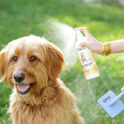 We Love Doodles Dog Detangler Spray. Chosen for real quality, not just packaging.