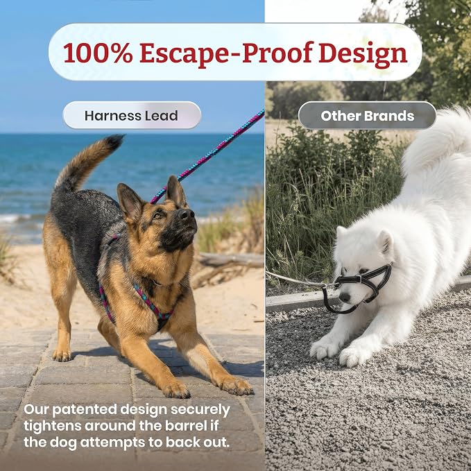 Harness Lead No Pull Dog Harness and Leash Set, Anti Pull Dog Harness for All Breeds and Sizes, One-Piece Cushioned Rope Design Safely Prevents Escaping and Pulling (Medium/Large, Orange/Reflective)