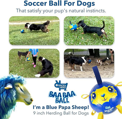 Race&Herd 9" Jolly Soccer Ball for Dogs - Tough Durable Dog Ball Toy with Straps, Pet Bouncy Herding Balls for Dogs, Floating Dog Balls with Tags for Water Fetch (BaaBaaBall, Daddy Sheep)