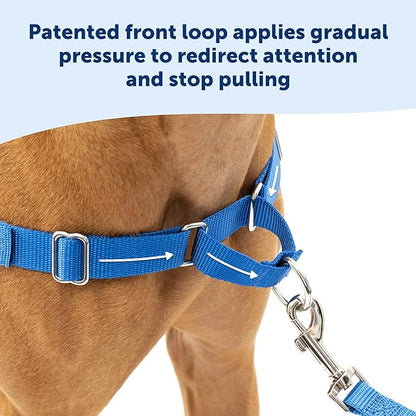 PetSafe Easy Walk No-Pull Dog Harness - Ultimate Harness to Help Stop Pulling-Pull-Free Walks-Take Control & Teach Better Leash Manners-Patented Martingale Loop Design-Gray,Medium/Large (Pack of 3)