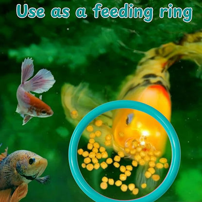 2 pcs Betta Ring Enrichment Toys with 1 pcs Betta Mirror, Exercise Training Ring and Floating Mirror for Fish Tank, Aquarium Feeding Rings with Floating Mirrors, Fish Toys, Bettas Toy (Teal, M-70mm)