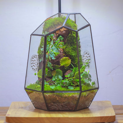 NCYP Closed Geometric Glass Enclosure with Front Opening Door & 2 Vent Holes for Insects, Succulent, Cacti - 7.9"x6.9"x9.8" Black Irregular Terrarium Planter - Home Garden Tabletop Decor (No Plants)