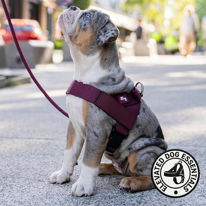 Dog Friendly Co. Dog Harness for Large Dogs (Burgundy, Large) | One Click Buckle, Chafe Resistant Webbing, Adjustable Neck & Chest, and Heavy Duty D-Ring, Sturdy Comfortable and Easy to Use