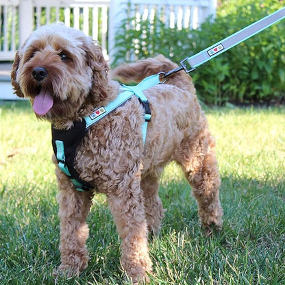 Pawtitas 6 FT Padded Dog Leash with Comfortable Neoprene Padding Handle - Camo Green Lead | Medium Reflective Dog Leash with Highly Reflective Band Perfect for Medium and Large Dogs and Puppies.
