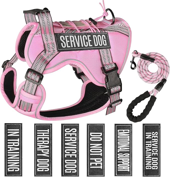 Service Dog Tactical Vest Harness and Leash Set Large Sized Dog Emotional Support- Tactical Dog Harness Training Collar with Name (Pink, XL)