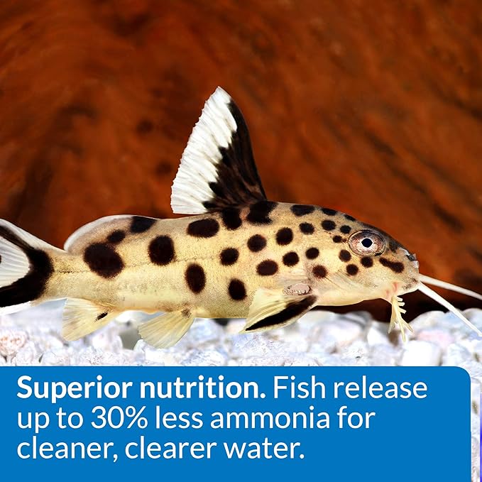 API BOTTOM FEEDER PELLETS WITH SQUID Fish Food 7.9-Ounce Container