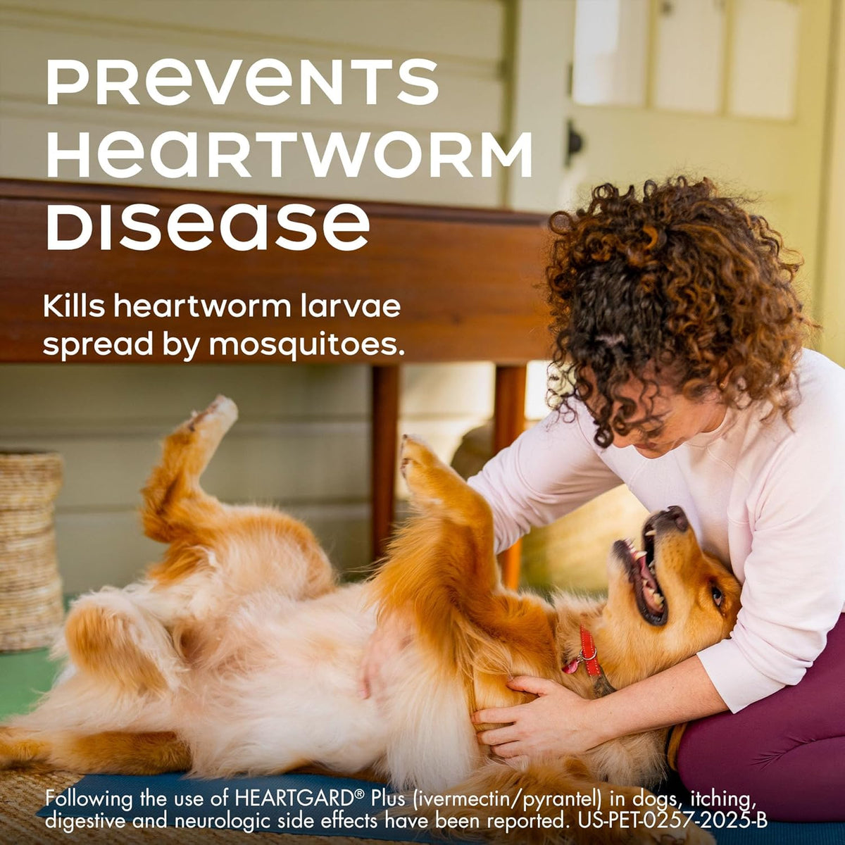 HEARTGARD® Plus (ivermectin/pyrantel) Real-Beef Chewables for Dogs 51 -100 lbs (Brown Box) 12 Month Supply of Chews (Heartworm Disease Preventive)