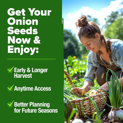 HOME GROWN 𝗨𝗦𝗔 𝗣𝗥𝗘𝗠𝗜𝗨𝗠 8 Onion Seeds for Planting – 1,600 Heirloom 𝗡𝗢𝗡-𝗚𝗠𝗢 Vegetable Seeds – Grow Sweet, Yellow, Red, Spanish, Green & Vidalia Onions in Outdoor or Indoor Home Garden
