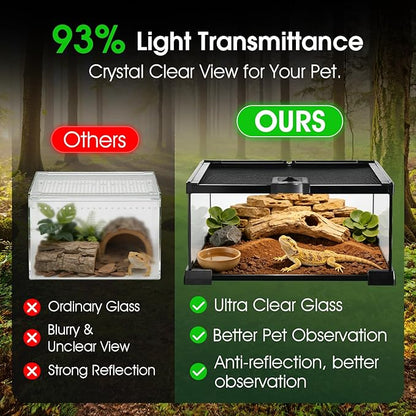 Reptile Terrarium Glass Kit 12" x 8" x 6" Starter Habitat for Tarantula, Succulents, Frogs, or Hermit Crabs, Tank with Escape-Proof Locking Lid