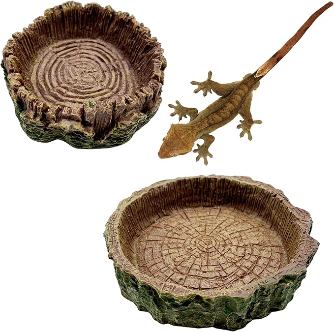 2 Pack Small Reptile Food Bowls, Reptile Feeding Terrarium Bowls for Bearded Dragon Lizard Frog Gecko Tortoise Hermit Crab Snail (Brown B)