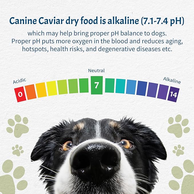 Canine Caviar - Open Sky: Duck & Teff Alkaline Dry Dog Food, Limited Ingredients, Gluten-Free, Based on Science & Research, Veterinary Alternative Diet (11 Pound Bag)