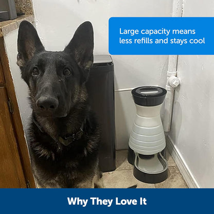 PetSafe Healthy Pet Water Station - Large, 320 oz Capacity - Gravity Pet Water Fountain, Automatic Cat Water Fountain or Dog Water Fountain - Water Dispenser - Removable Stainless Steel Bowl Included