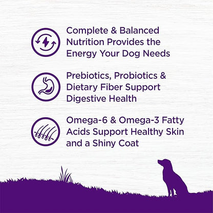 Wellness Complete Health Dry Dog Food, Wholesome Grains, Natural, Beef & Barley Recipe, (26-Pound Bag)