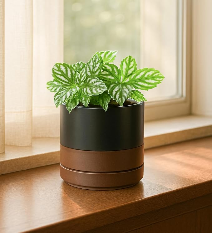 D'vine Dev Set of 2 Plants Pots, 4.7 Inch Ceramic Planter Pot for Plants with Drainage Hole and Saucer, Black/Speckled Tan, 94-V-B-7