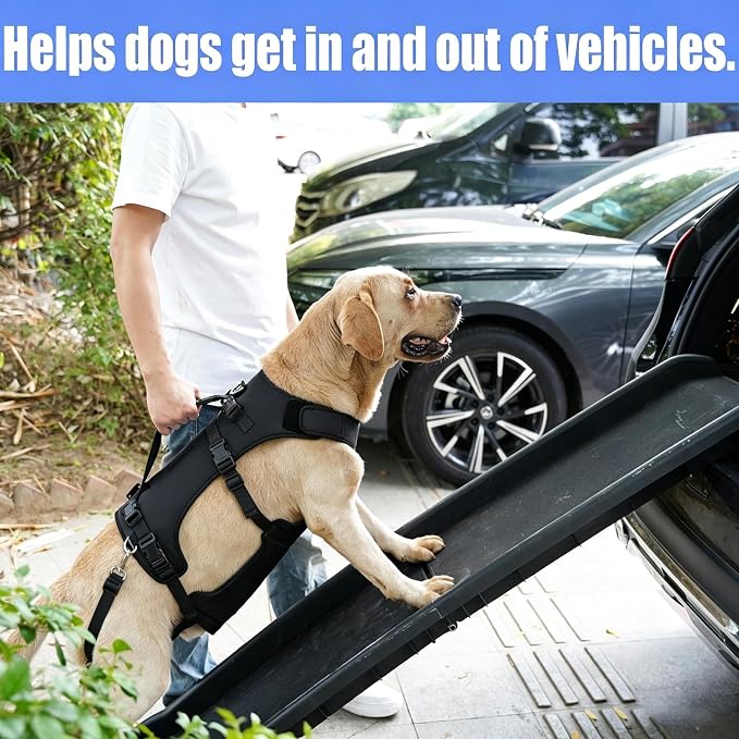 COODEO Dog Lift Harness for Large Dogs, Full Body Support Mobility Aid for Senior Dogs, Adjustable Help for Weak Hind Legs, Arthritis, Stairs & Cars(Black,XL)