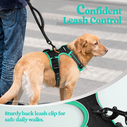 rabbitgoo Dog Harness No Pull with 2 Leash Clips, Adjustable Soft Padded, Reflective Oxford No Choke Pet Vest with Easy Control Handle for Medium Sized Dogs, Black & Turquoise, M
