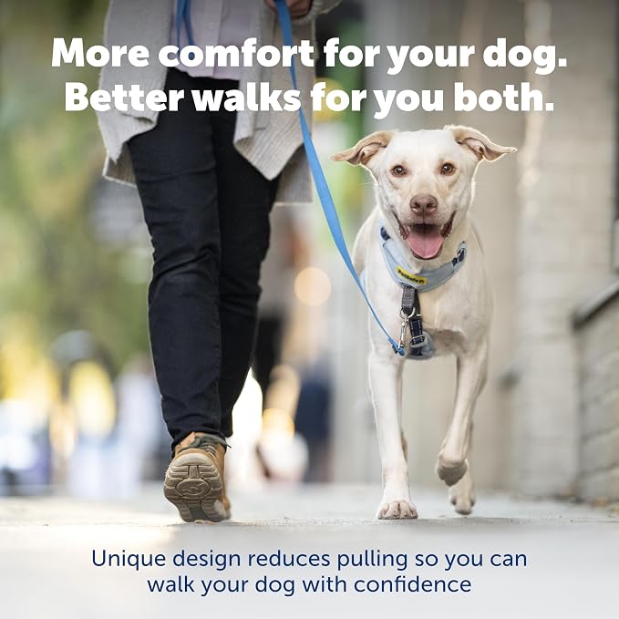 PetSafe Easy Walk Comfort No Pull Dog Harness, Black, Small | Stops Pulling on First Use with Front Martingale Loop, Full-Body Padding, 5-Point Adjustable Fit