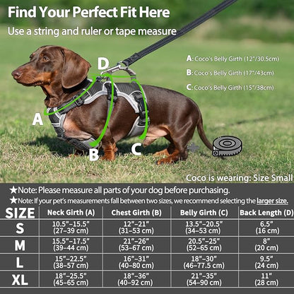 Escape Proof Dog Harness, Dachshund Harness, Reflective Dog Harness with Handle, Durable,Adjustable Vest for Small Medium Large Dogs Walking, Training, and Running Gear (Black,L)