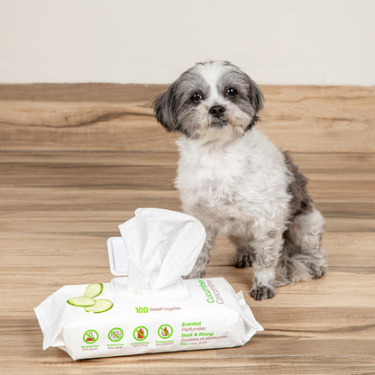 Best Pet Supplies Pet Wipes for Dogs. Everyday comfort that fits naturally into your space.