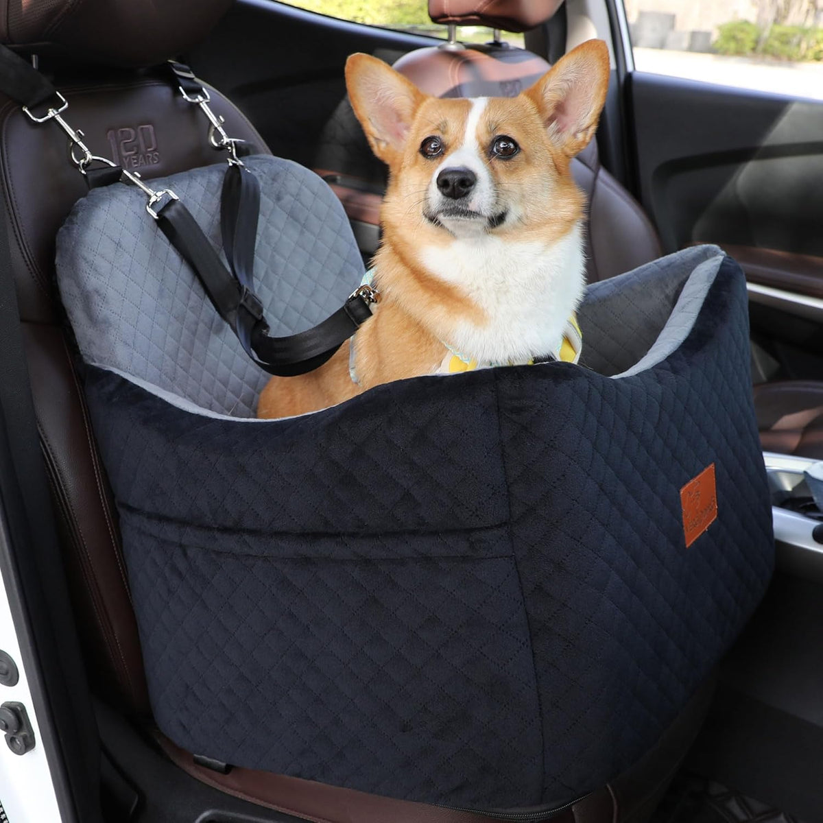 Dog Car Seat for Small Medium Dogs-Safety and Comfy Pet Booster Carseats with 2 Clip-On Satebelt & Storage Pockets,Washable and Detachable Puppy Car Seat for Dogs up to 30 lbs.(H-Black/Grey)