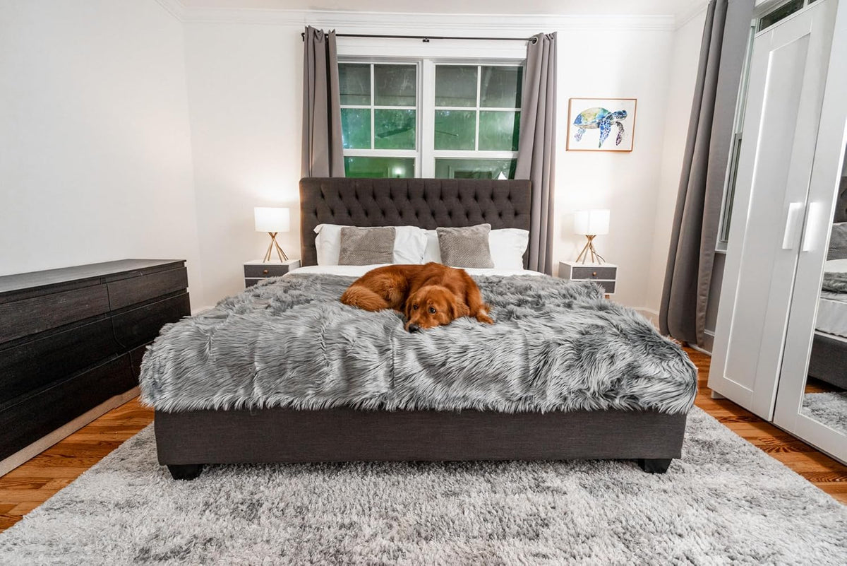 PupProtector Waterproof Throw Blanket for Dogs and Cats, Pet Blanket Cover for Couches, Sofas, Beds, Car Seats, Furniture, Calming Soft Faux Fur, Charcoal Grey, Large (80" L x 62" W)