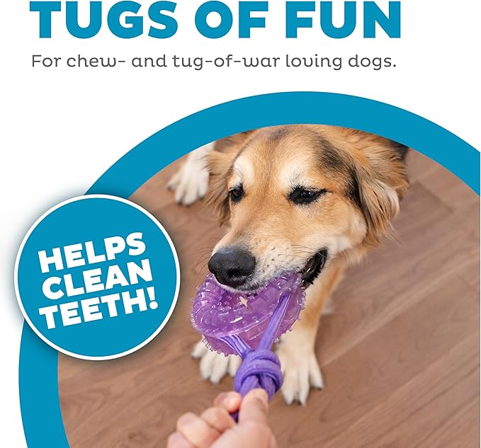 Outward Hound 2-in-1 Dental Dog Chew Wheel Ring & Rope Tug Toy for Teething Puppies & Dogs, Mint-Scented & Teeth-Cleaning, 9-Inch, Purple