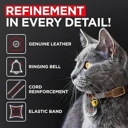 WAUDOG Ultra Soft Rolled Leather Cat Collar with Removable Bell, Safety Elastic Strap and QR ID Tag - Soft Padded for Small, Medium, and Large Cats - Round Kitten Collar for Male and Female Cats