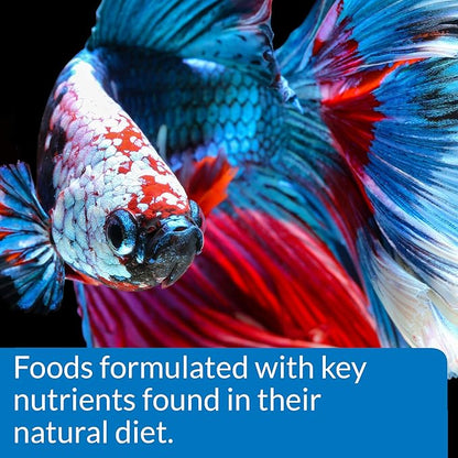 API Betta Food Fish Food Pellet .78-Ounce Container (Pack of 2)