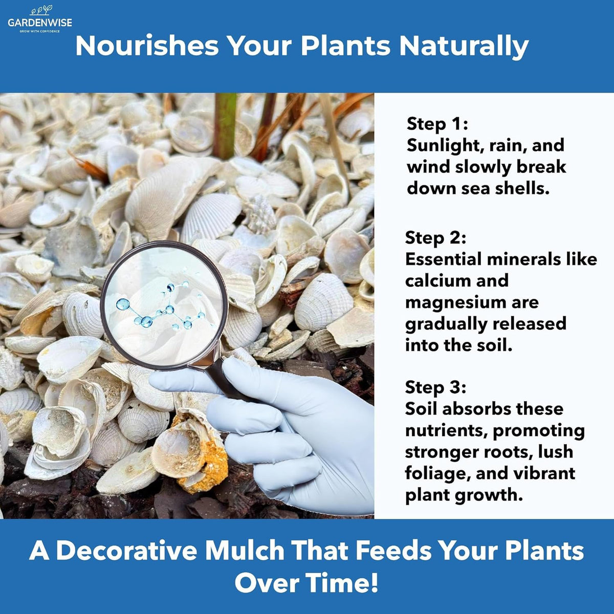 Natural Organic Sea Shell Mulch for Gardens and Landscaping – Decorative and Nutrient-Rich, 0.5–3-Inch Shells, Perfect for Indoor and Outdoor Use (2 CF - 56 L - 60 QTS)