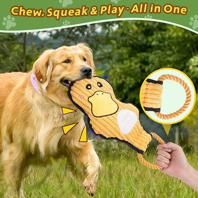 2-Pack Squeaky Dog Toys & Tough Tug of War Set - No Stuffing Chew-Resistant Plush Toys to Keep Them Busy, Best Birthday Gift for Small/Medium/Large Breeds (Ducks & Dino)