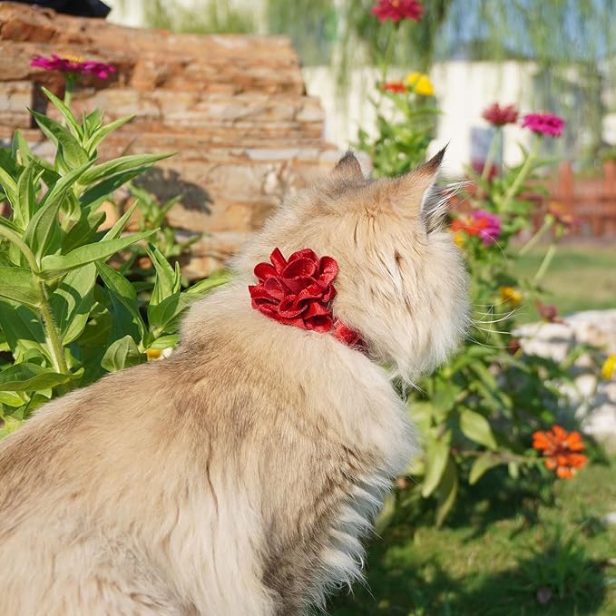 azuza 2 Pack Cat Collar Floral with Bell and Removable Flower Bowtie Breakaway Adjustable Velvet Fabric Cat Collar for Pets and Daily Decoration，Wine Red & Rose Pink