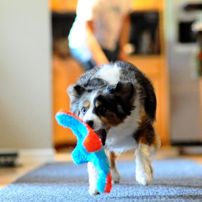 Chuckit! Indoor Fetch Squirrel Toy for Dogs - Interactive Dog Toys for Boredom, Orange and Blue