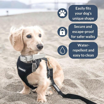 Adventure Dog Harness - Stylish and Comfortable Large Dog Harness for Outdoor Adventures and Everyday Wear - Black Neoprene Adjustable Harness for Dogs with Reflective Piping and Brass D-Ring